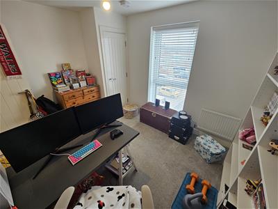 Picture 15